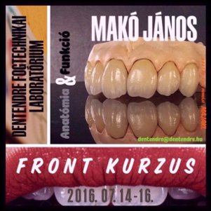 Front Kurzus - Anatómia & Funkció - 2016. július 14-16. | 
